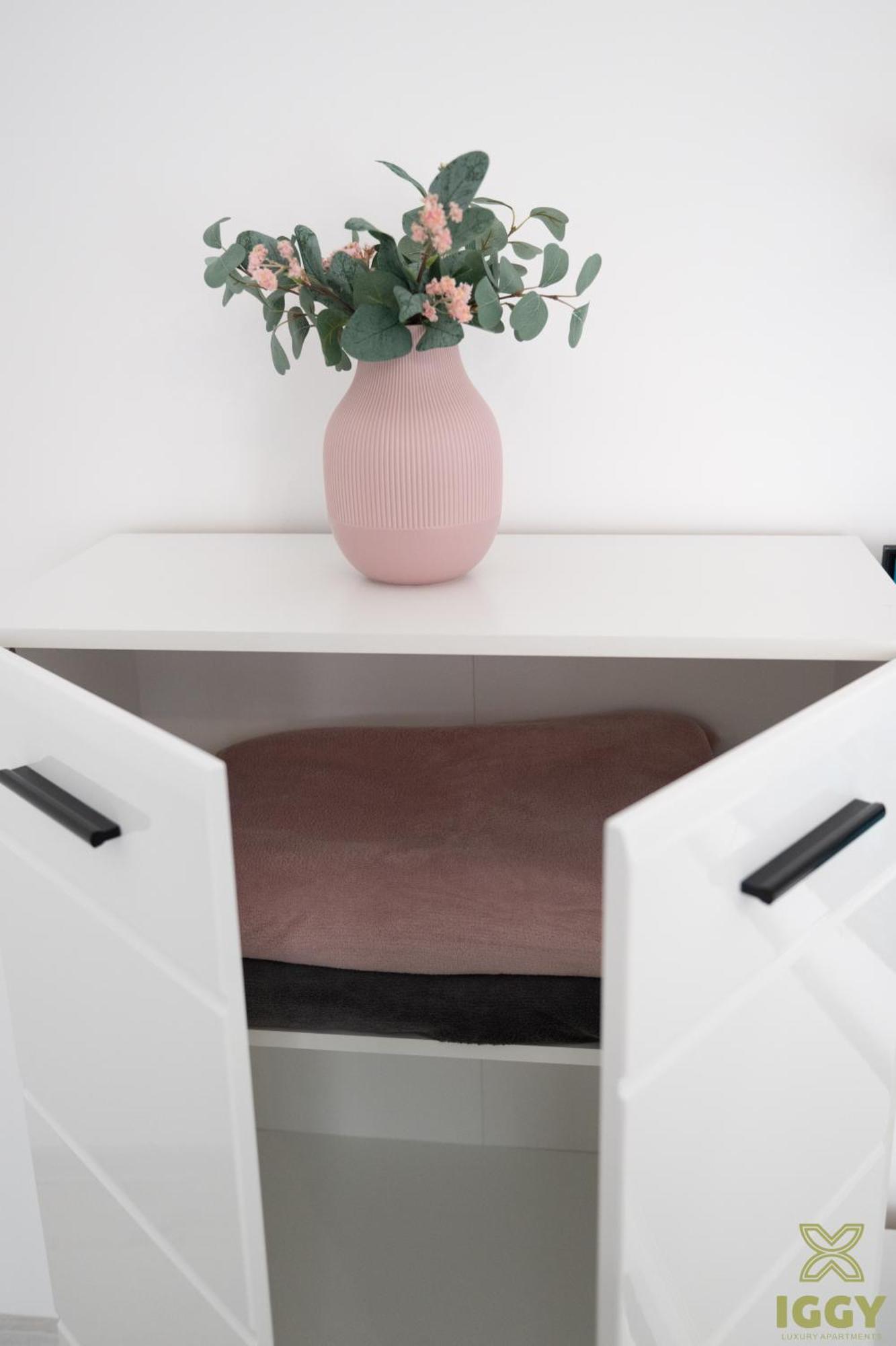 Iggy Premium Apartment Hunedoara Esterno foto