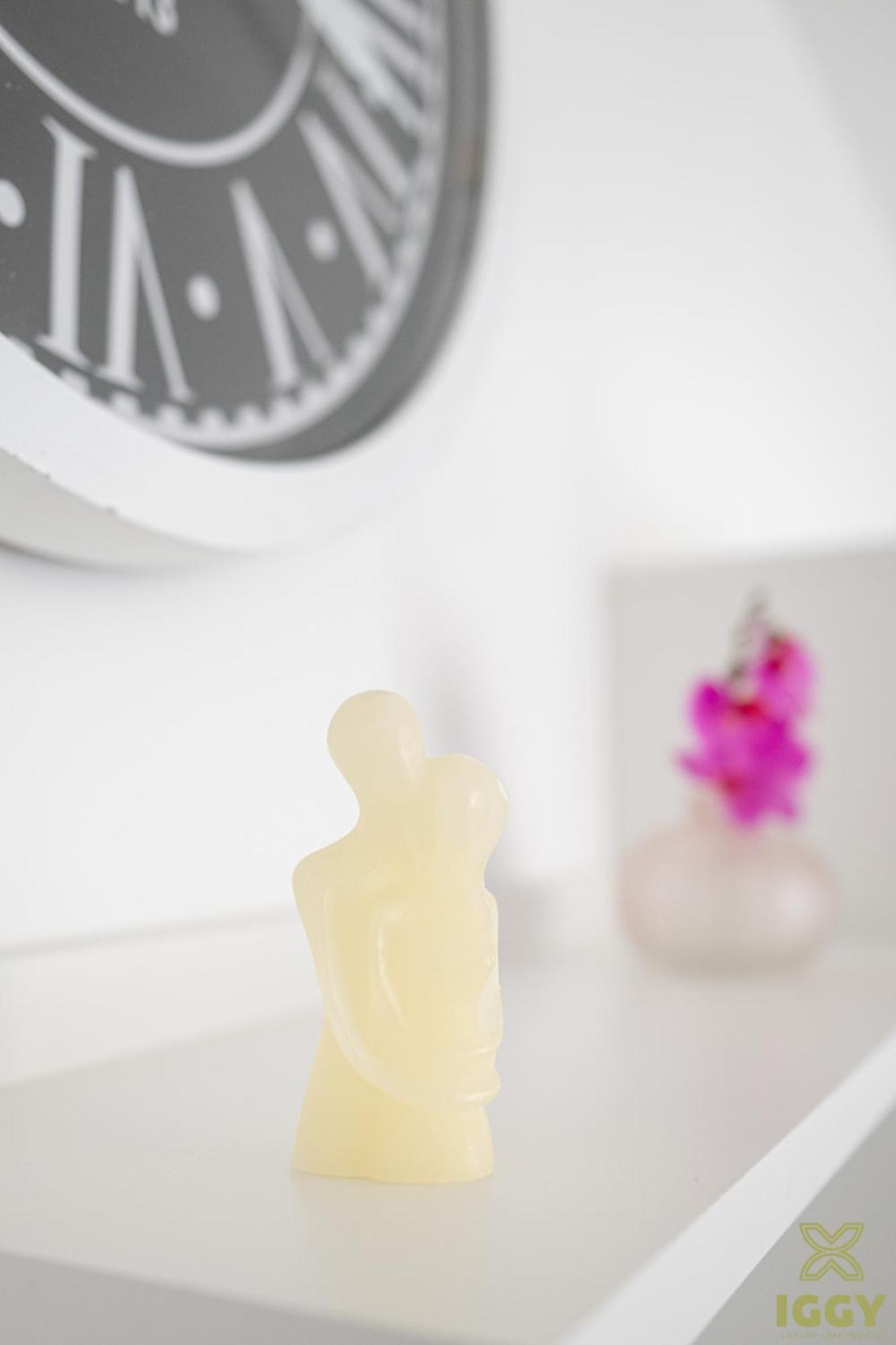 Iggy Premium Apartment Hunedoara Esterno foto