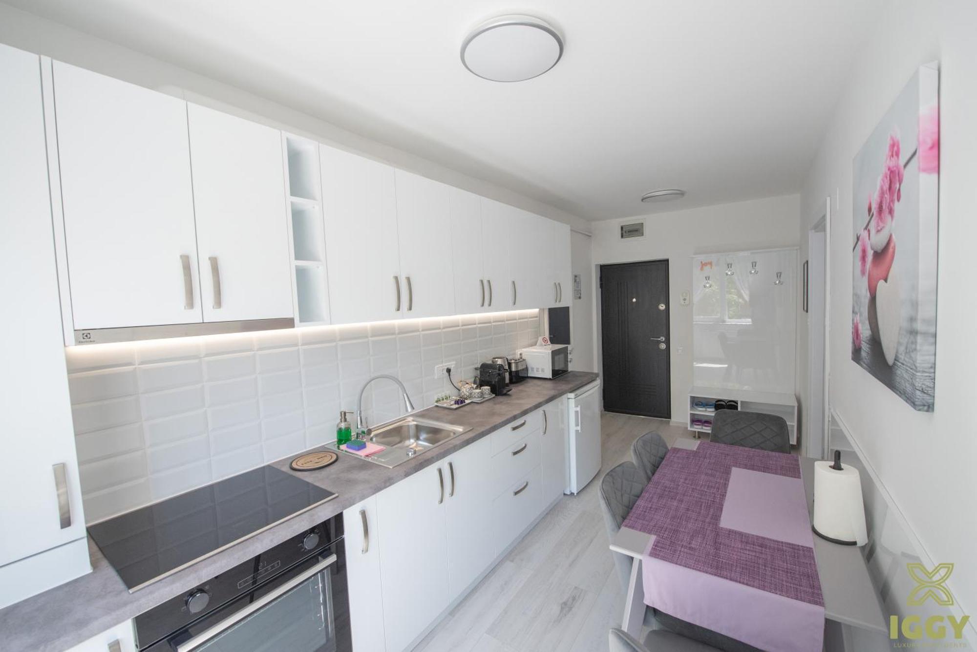 Iggy Premium Apartment Hunedoara Esterno foto